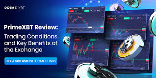 Explore Trading Opportunities with PrimeXBT Crypto Broker Explore Trading Opportunities with PrimeXBT Crypto Broker