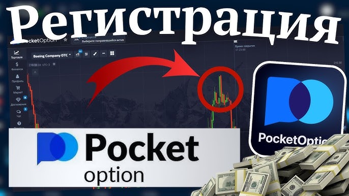 Exploring the Pocket Option Site A Comprehensive Review
