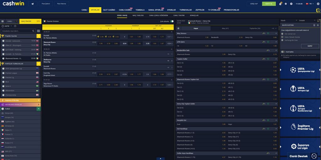 Cashwin Online Casino Review and Test 2025: 100% approximately euro1000 + 50 totally free rotates