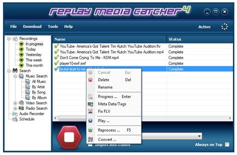 Download Flash Video Capture