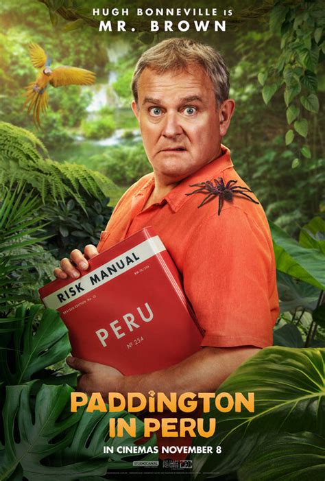 Paddington in Peru 2025