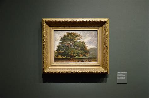 voix de la forêt 2025